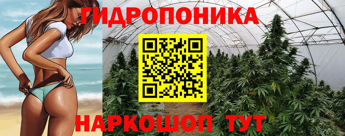 Бошки марихуана марихуана  Вход с VPN  Марихуана гибрид  Алейск  Марихуана марихуана  Конопля White Widow 